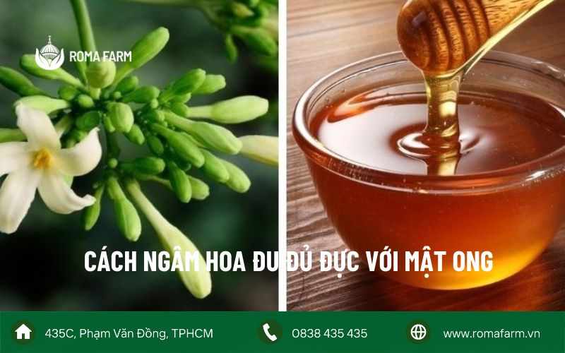 Cách ngâm hoa đu đủ đực với mật ong trị ho tốt cho sức khỏe